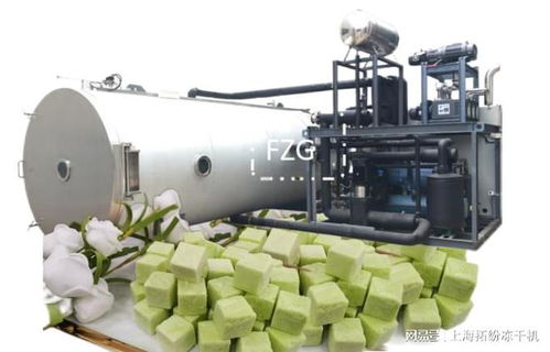 解密食品凍干機(jī)加工益生菌蔬菜凍干技術(shù)