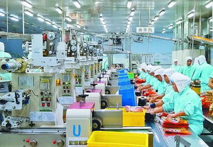 大型食品加工車間消毒劑罐裝設(shè)備管道洗瓶cip原位清洗消毒