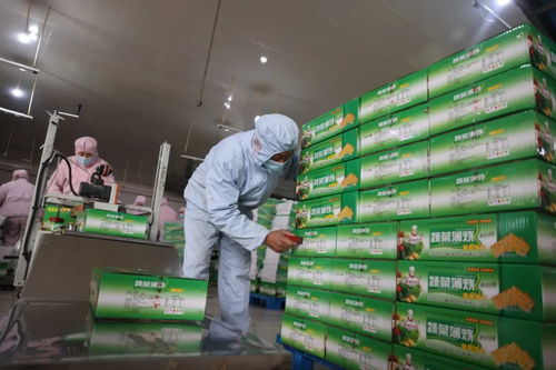 兩會特稿 堅定工業(yè)立市不動搖 重塑制造業(yè)強市風采